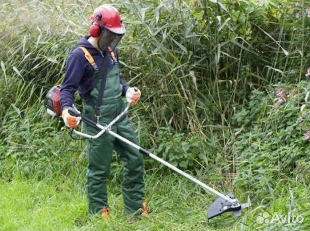 Спил деревьев