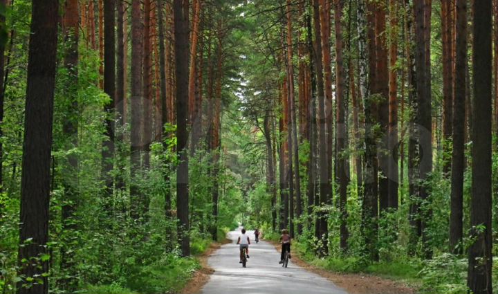 Участок 10 сот. (ИЖС)