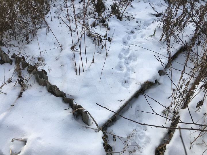 Участок 4 сот. (СНТ, ДНП)
