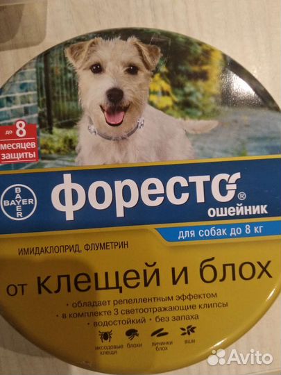 Ошейник для собак