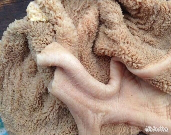 Требуха Рубец