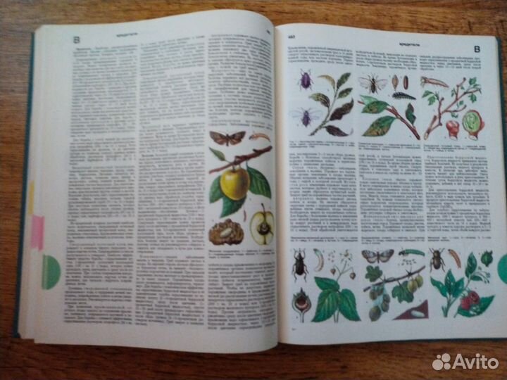 Краткая энциклопедия домашнего хозяйства