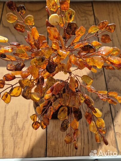 Дерево из янтаря