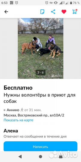 Собака