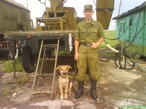 В поиске любой работы