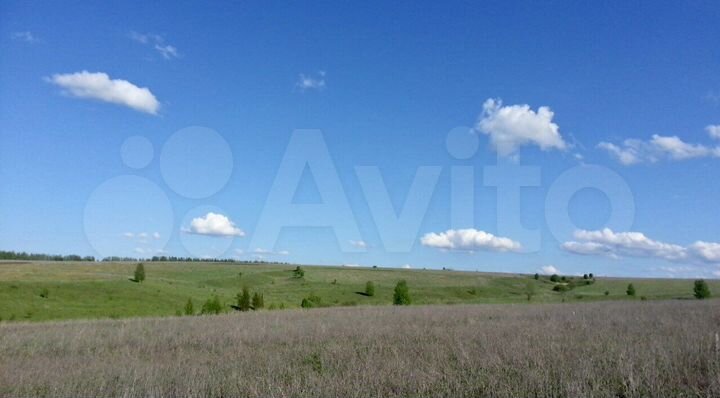 Участок 6 сот. (СНТ, ДНП)