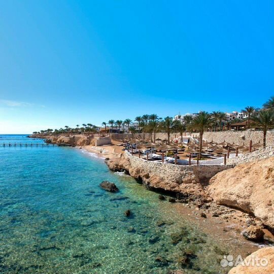 Тур в Египет из Калининграда