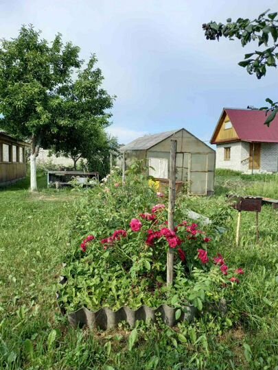 Дом 60 м² на участке 50 сот.