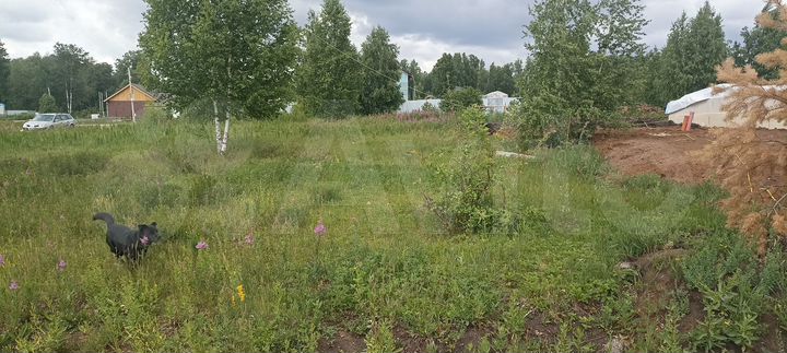 Участок 8,5 сот. (ИЖС)