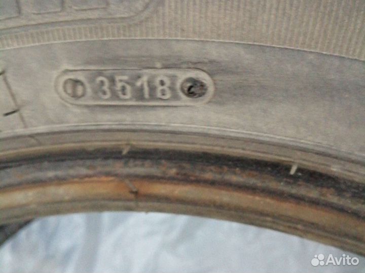 Tigar Ice 205/55 R16