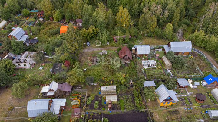 Участок 6,3 сот. (СНТ, ДНП)