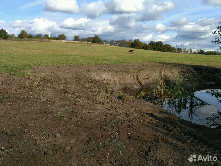 Аренда экскаватора