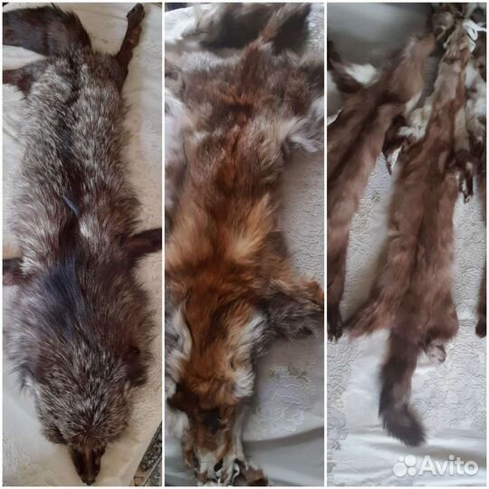 Шкурки лисиц
