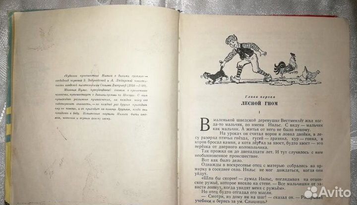 Чудесное путешествие Нильса с дикими гусями. R