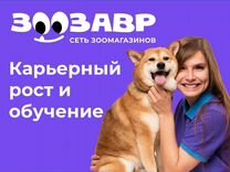 Продавец-кассир в зоозавр (ТЦ Звездный)