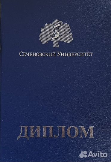 Услуги переводчика