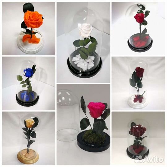 Роза в колбе оптом - много разных, от