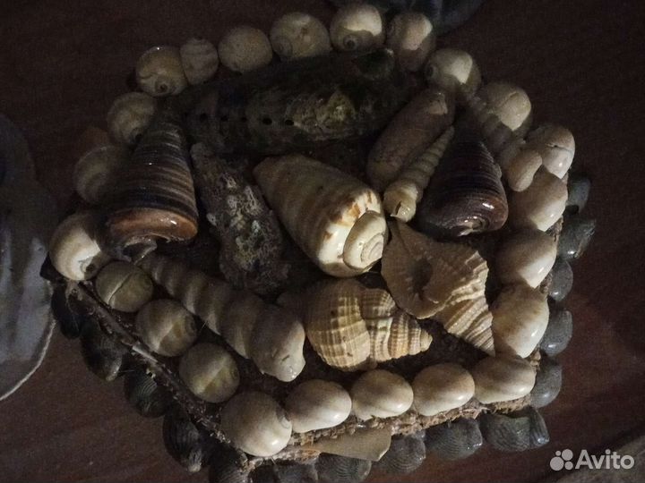 Шкатулка с Чёрного моря