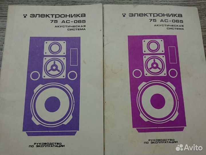Колонки Электроника 75ас-065