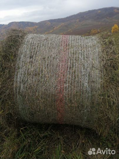 Продам сено в тюках