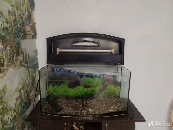 Аквариум