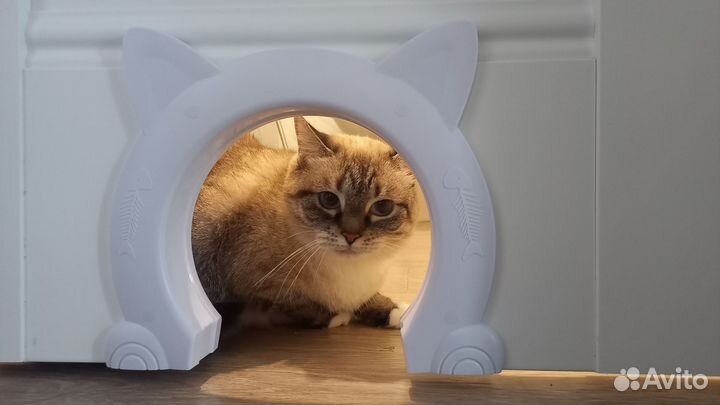 Дверь лаз для кошки