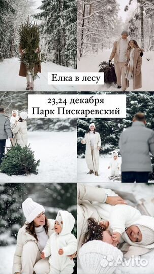 Фотосессия