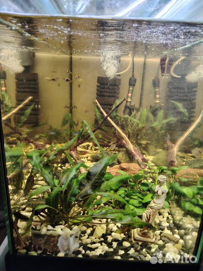 Аквариум с тумбой