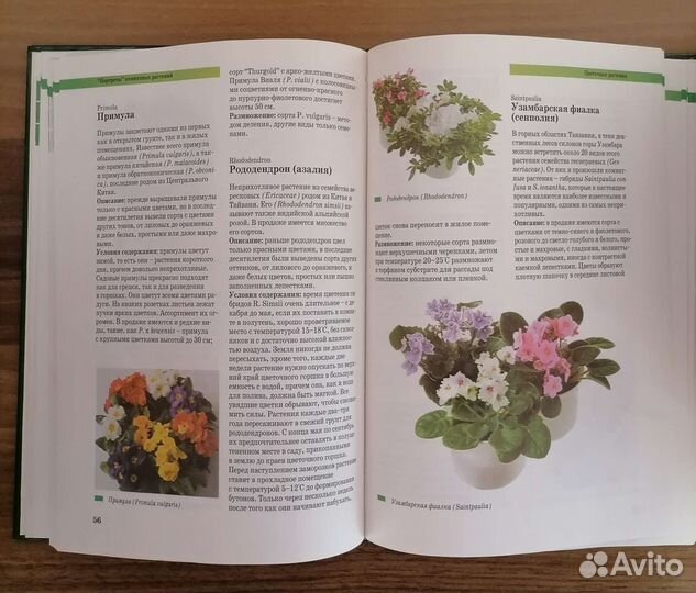 Книги о комнатных цветах