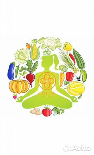 Функциональное питание