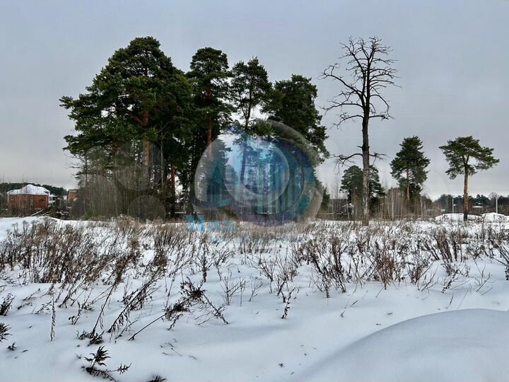 Участок 5 сот. (СНТ, ДНП)