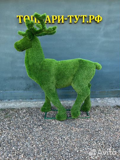 Топиари Топиарные фигуры Садовые фигуры