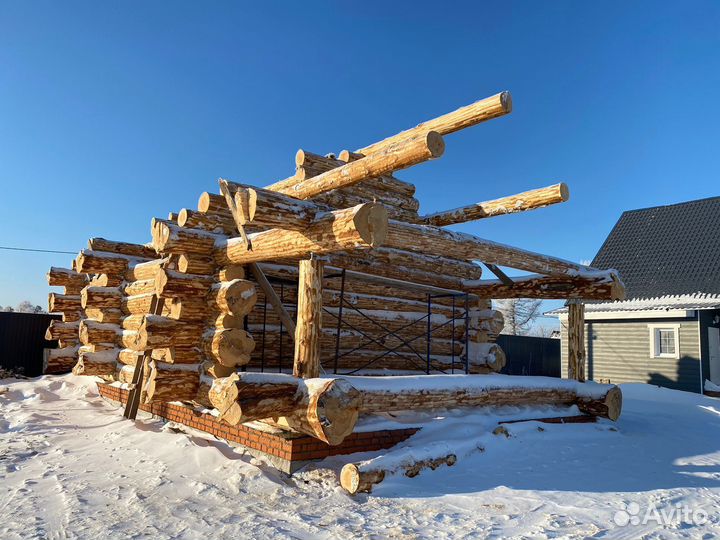 Сруб для дома 8х10