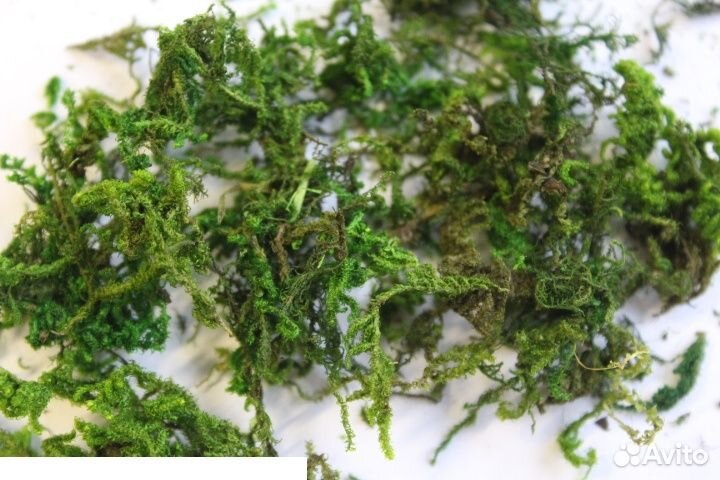 Природный эффект Dasmodel 35022DAS