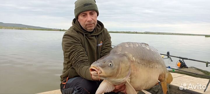 Аттрактант пылящий бустер GOO карпхаус