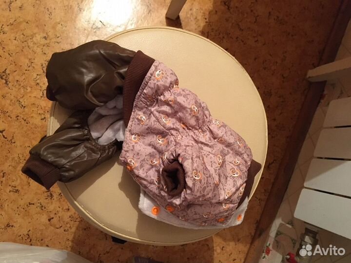 Одежда для собак