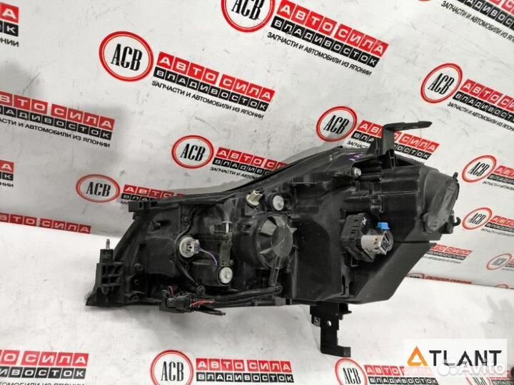 Фара правая nissan fuga