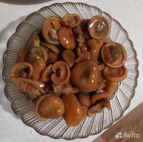 Грибы