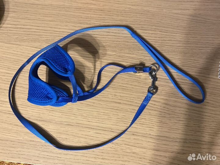 Шлейка поводок