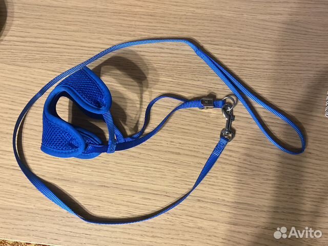Шлейка поводок