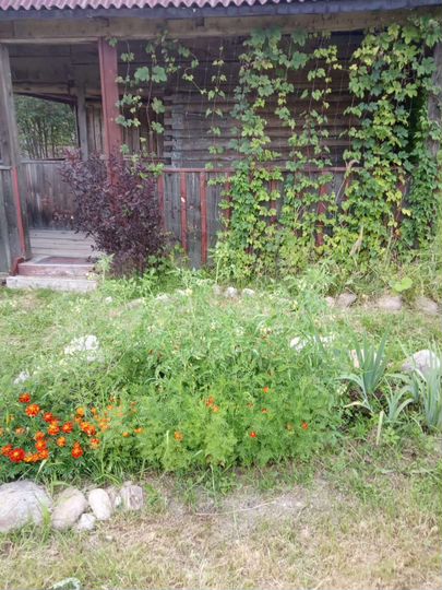 Участок 20 сот. (СНТ, ДНП)