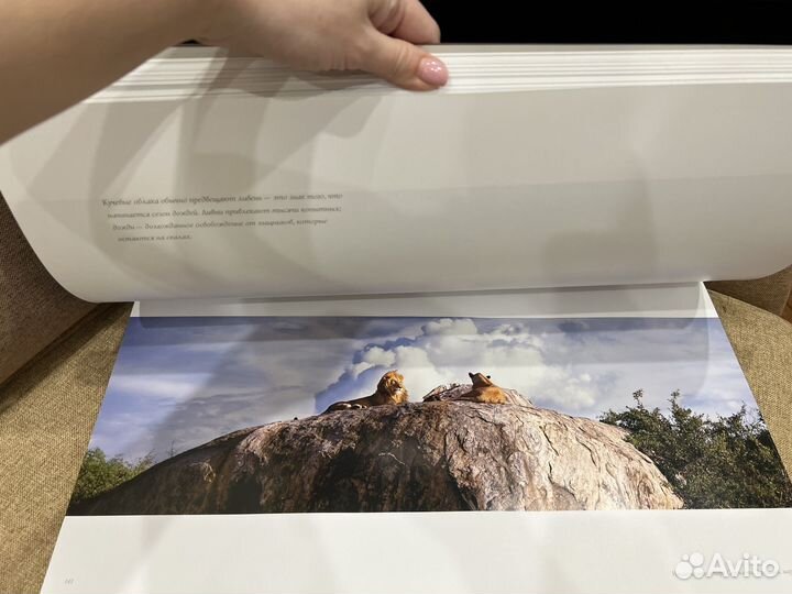 Подарочная Книга Томас Д. Мэнгельсен Дикая природа