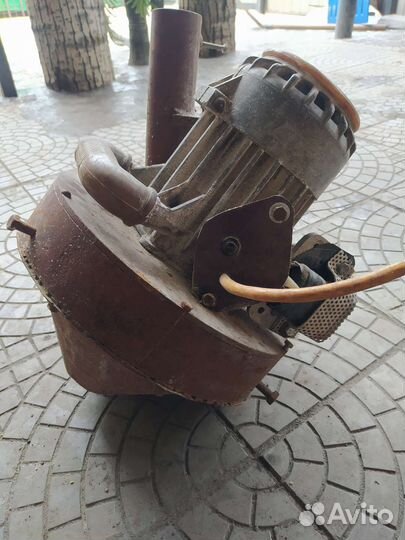 Крупорушка