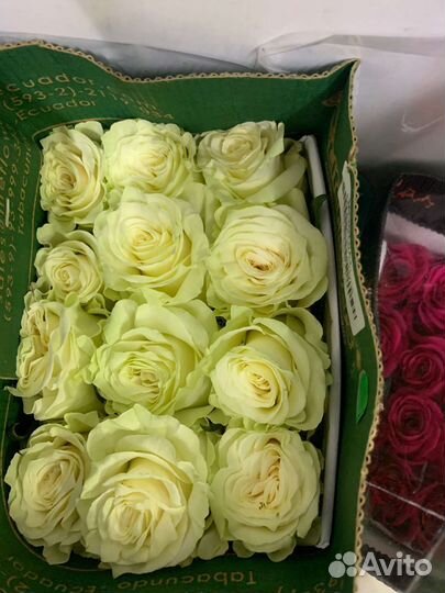 Цветы Красивые розы в любом количестве Пермь