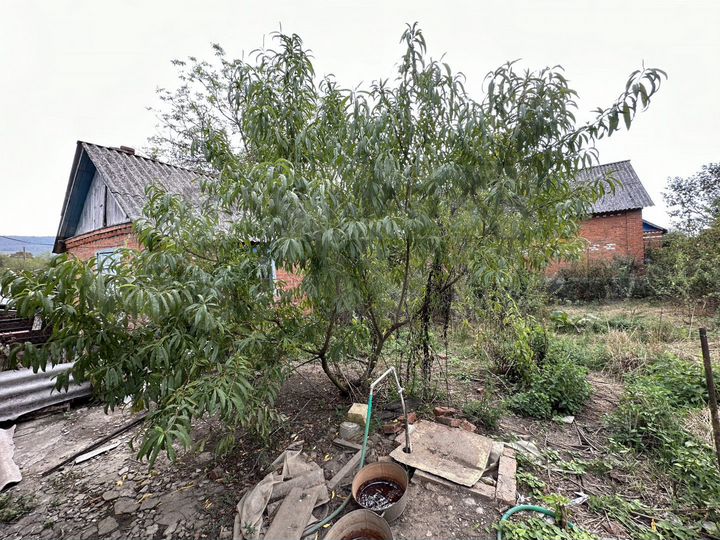 Участок 18,9 сот. (личное подсобное хозяйство (лпх))