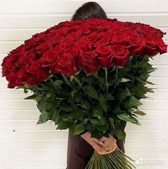 Розы Букеты Цветы Розы 31 101 151 201 Доставка