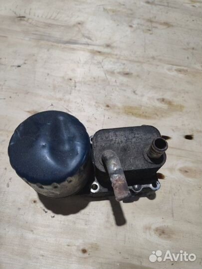 Радиатор маслоохладителя Ford Focus 1998-2004