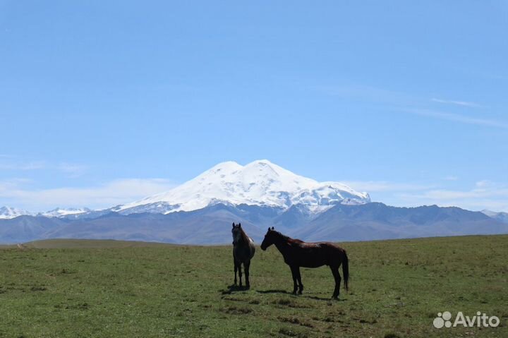 Бермамыт, Эшкаконское ущелье, Скалы Монахи. От