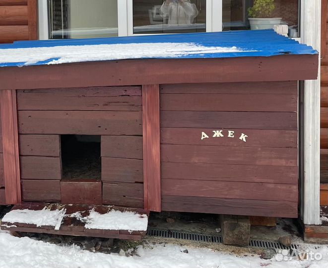 Молодой крупный кабель ищет хозяев