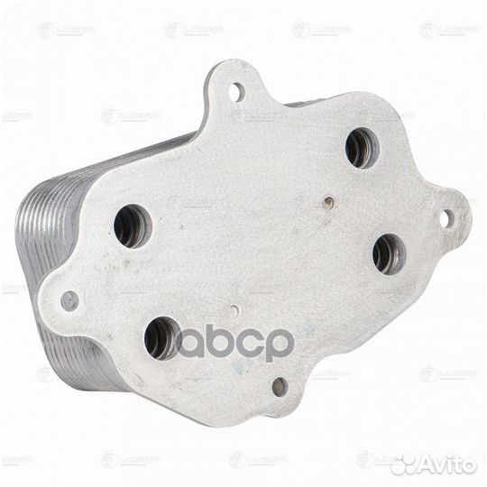 LOC 1701 luzar Радиатор масл. SsangYong Kyron